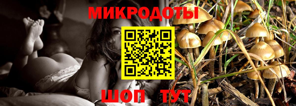 Псилоцибиновые грибы GOLDEN TEACHER Нижнекамск